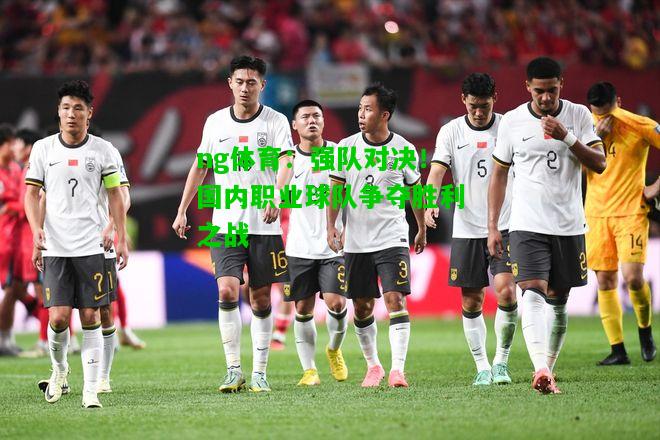 强队对决！国内职业球队争夺胜利之战